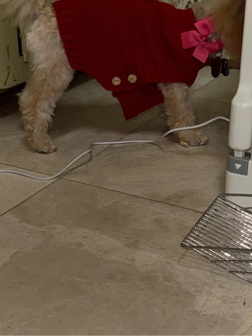 Cozy Red Knit Dog Sweater - Fashionable Pet Apparel with side buttons SMALL
